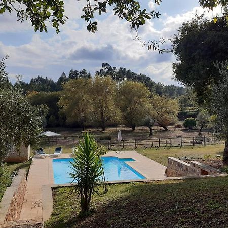 Quinta no Pinhal Vila Nova de Poiares Exterior foto