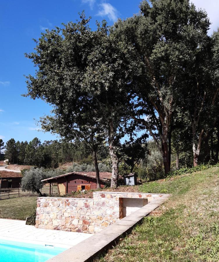 Quinta no Pinhal Vila Nova de Poiares Exterior foto